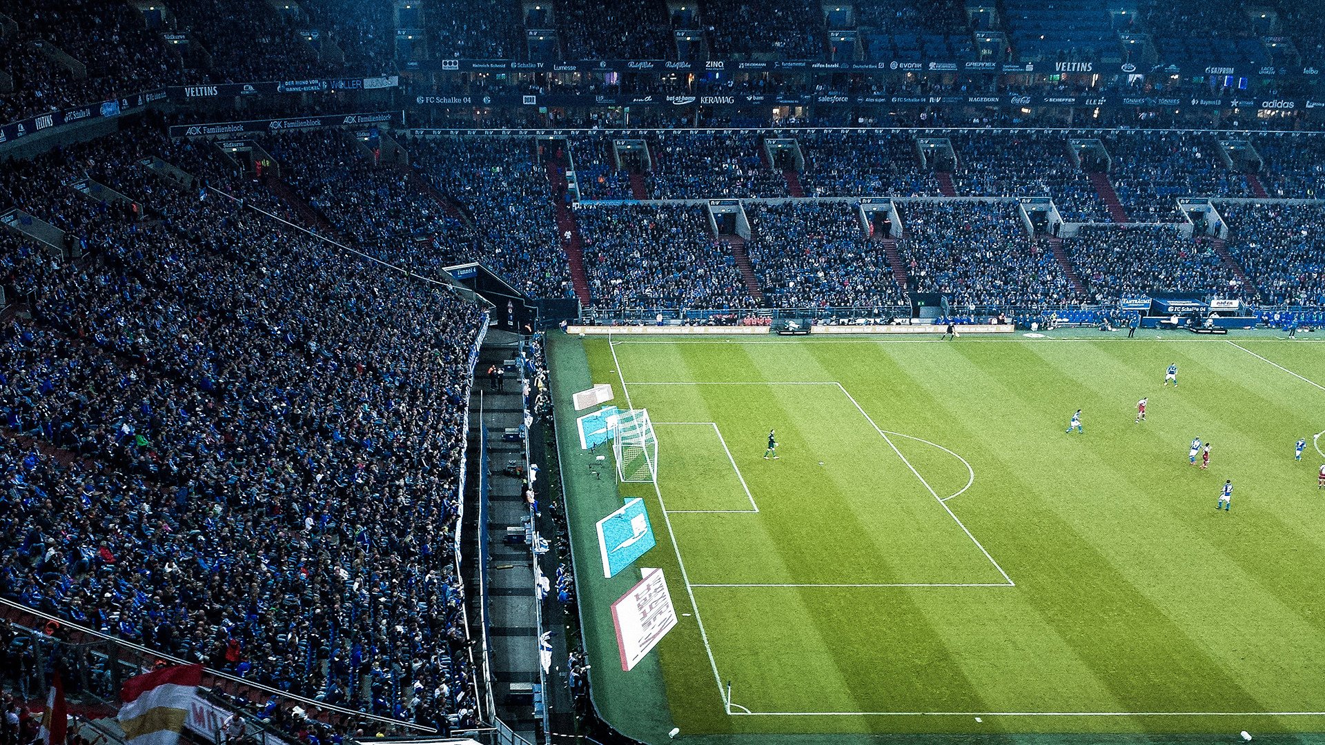 托里·哈斯克女子100米自由泳赛场新星