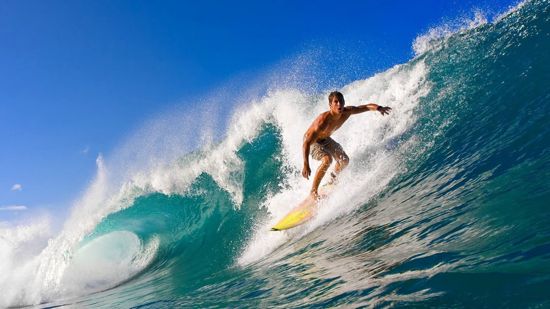 AYX体育官网-马克·阿特金森：他的进攻突破让南非队在关键时刻攻占高地，阿特金森和麦克里兰的成就动机